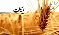 پرداخت بیش از ۱۳ میلیارد تومان زکات در شهرستان ارومیه