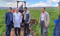 کاشت درختچه کم آب بر گل محمدی در دهستان مرگور ارومیه