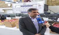 ۲۵۰ هزار هکتار از باغات کشور به سیب درختی اختصاص دارد