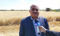 بیش از ۶۷۰ هزار تُن گندم از کشاورزان آذربایجان‌غربی خریداری شد