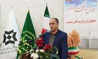 کشت بهاره در ۱۰۵ هزار هکتار از اراضی کشاورزی آذربایجان غربی 