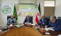 حدود ۶۴۶ هزار تن سیب درختی از گمرکات کشور صادر شده است