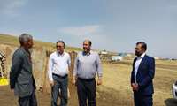 ارائه خدمات دامپزشکی به عشایر در اردوی جهادی منطقه صفر مرزی چالدران