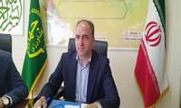 برداشت کلزا از مزارع آذربایجان‌غربی آغاز شد