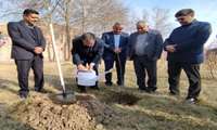 همزمان با گرامیداشت ۱۵ اسفندماه روز درختکاری و آغاز هفته منابع طبیعی 