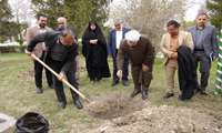 غرس نهال امید به دست رئیس سازمان جهاد کشاورزی آذربایجان‌غربی 