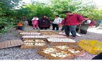 اجرای طرح ایجاد زنجیره‌های ارزش تولیدات روستایی در سه شهرستان آذربایجان‌غربی آغاز شد