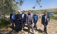 بررسی میدانی طرح‌های تولیدی کشاورزی در شاهین‌دژ با حضور رئیس سازمان جهاد کشاورزی آذربایجان‌غربی