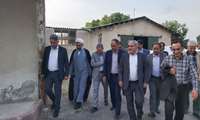 بازدید رئیس سازمان جهاد کشاورزی آذربایجان غربی از ایستگاه پرورش و اصلاح نژاد گوسفند قزل شهرستان میاندوآب