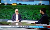 حضور رئیس سازمان جهاد کشاورزی آذربایجان غربی در برنامه زنده تلوزیونی گفتگوی ویژه خبری