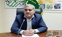 دام مازاد تولید کنندگان آذربایجان غربی خریداری می شود