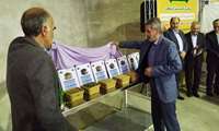 رونمایی از محصول دانش بنیان تولید خوراک دام کامل برپایه محصولات فرعی صنایع کشاورزی در آذربایجان غربی