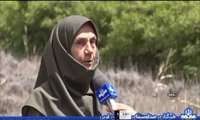 گونه جدید گیاهی به همت بانوی محقق سازمان تات شناسایی و ثبت جهانی شد