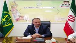 آغاز برداشت گوجه فرنگی از مزارع آذربایجان غربی