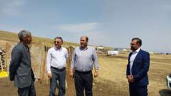 ارائه خدمات دامپزشکی به عشایر در اردوی جهادی منطقه صفر مرزی چالدران