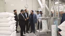 بازدید رئیس کل دادگستری آذربایجان غربی از واحدهای تولیدی کشاورزی/  زمینه اشتغال ۳۰۰ نفر فراهم می‌شود