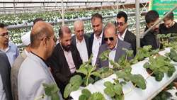 بازدید رییس کمیسیون کشاورزی، آب، منابع طبیعی و محیط‌ زیست مجلس شورای اسلامی و هیات همراه ازگلخانه سروکانی پیرانشهر 