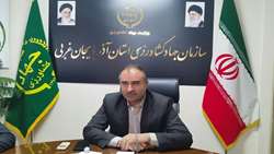 تنظیم بازار سیب صنعتی؛ اولویت اصلی طرح ساماندهی در آذربایجان غربی
