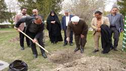غرس نهال امید به دست رئیس سازمان جهاد کشاورزی آذربایجان‌غربی 