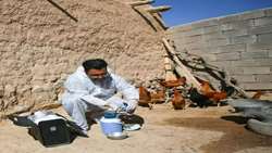 صیانت از سرمایه های اقتصادی خانوار روستایی در آذربایجان غربی از طریق ایمن سازی طیوربا واکسیناسیون 