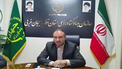افزایش تولید گندم پایدار با پایش دقیق مزارع و بهبود مدیریت تغذیه: اختصاص ۴۰۶ هزار هکتار به کشت گندم در استان