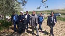 بررسی میدانی طرح‌های تولیدی کشاورزی در شاهین‌دژ با حضور رئیس سازمان جهاد کشاورزی آذربایجان‌غربی