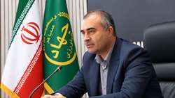  آغاز کشت سیر در آذربایجان‌غربی / پیش بینی تولید ۲۵ هزار تن محصول