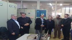 بازدید رییس سازمان جهاد کشاورزی آذربایجان غربی از زنجیره تولید یکپارچه گوشت مرغ در میاندوآب