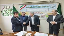 سرپرست مدیریت شرکت خدمات حمایتی کشاورزی آذربایجان غربی معرفی شد