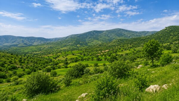 بازگشت ۲۰۴ هکتار از اراضی ملی گیلان به طبیعت در ۵ ماهه امسال/ طرح جنگلداری جلگه‌ای برای حفاظت و احیای عرصه‌های جنگلی اجرا می‌شود