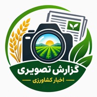گزارش تصویری