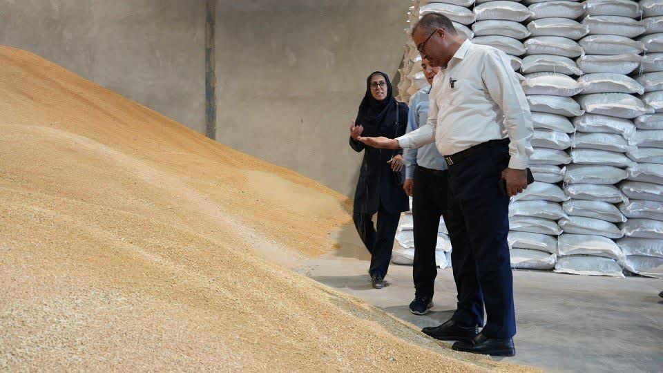  تاکید رئیس جهاد کشاورزی آذربایجان غربی بر تأمین بذر کیفی در بازدید از واحد تولیدی در بوکان